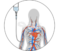 Parenteral nutrition peripheral vein body - Edit and Customize Icons of Parenteral nutrition peripheral vein body Parenteral nutrition peripheral vein body Icons, Symbols, Pictures, and Images