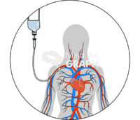 Parenteral nutrition subclavian vein body - Edit and Customize Icons of Parenteral nutrition subclavian vein body Parenteral nutrition subclavian vein body Icons, Symbols, Pictures, and Images