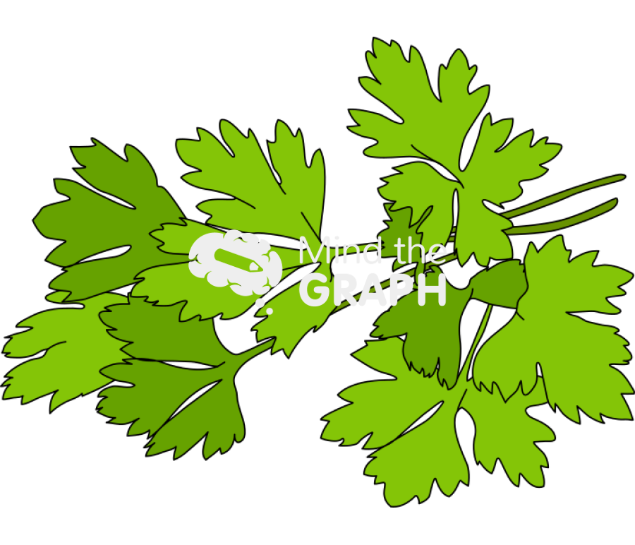 Parsley Icons, Symbols, Pictures, and Images