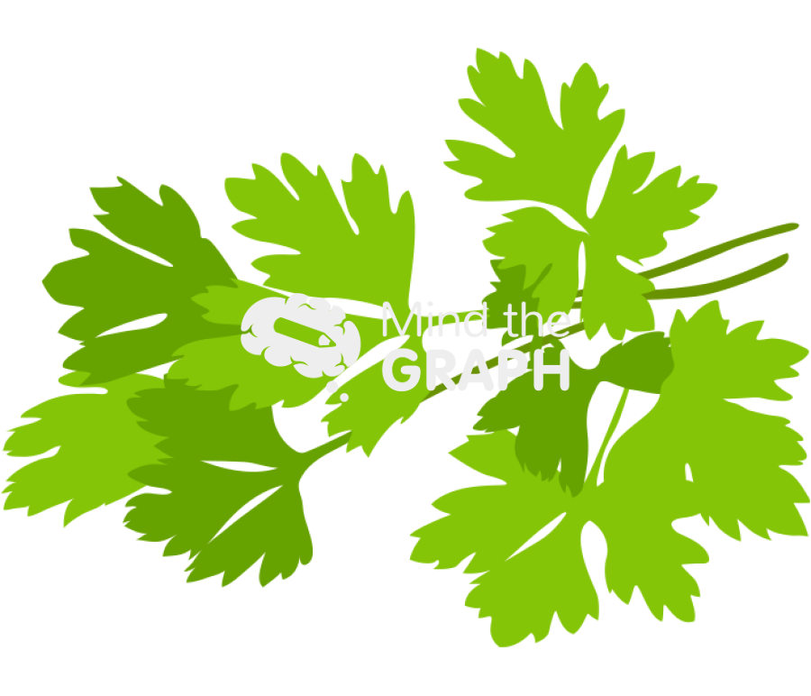 Parsley Icons, Symbols, Pictures, and Images