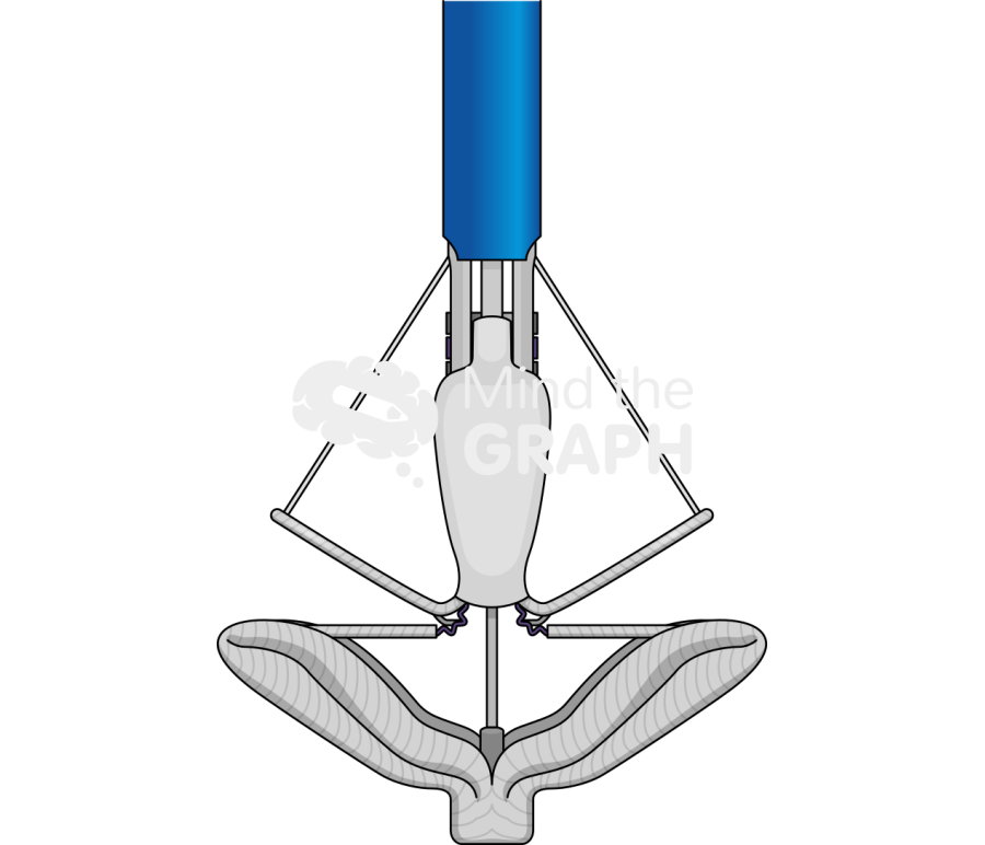 Pascal transcatheter valve repair Icons, Symbols, Pictures, and Images