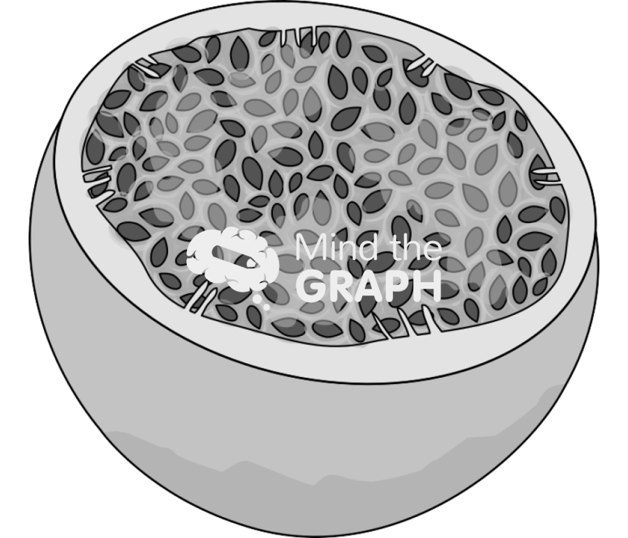 Passion fruit open Icons, Symbols, Pictures, and Images