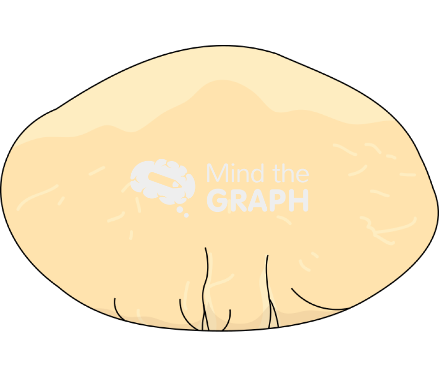 Paste Icons, Symbols, Pictures, and Images