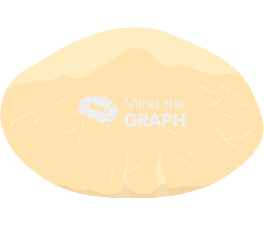 Paste Icons, Symbols, Pictures, and Images