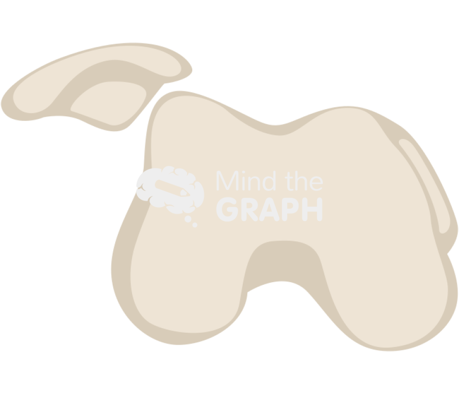 Patella dislocation 2 Icons, Symbols, Pictures, and Images