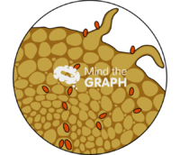 Pathogens xylem phloem zoom - Edit and Customize Icons of Pathogens xylem phloem zoom Pathogens xylem phloem zoom Icons, Symbols, Pictures, and Images