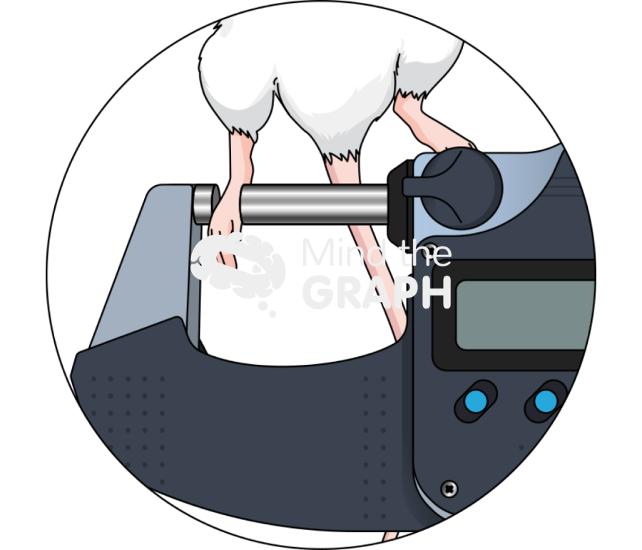 Paw edema measurement micrometer zoom Icons, Symbols, Pictures, and Images