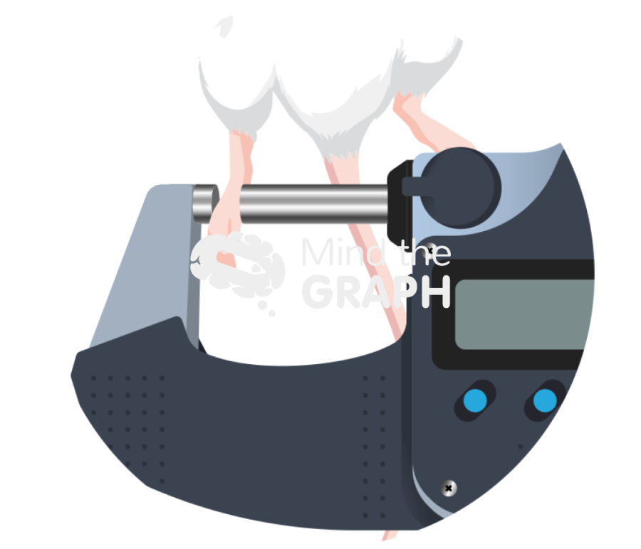 Paw edema measurement micrometer zoom Icons, Symbols, Pictures, and Images