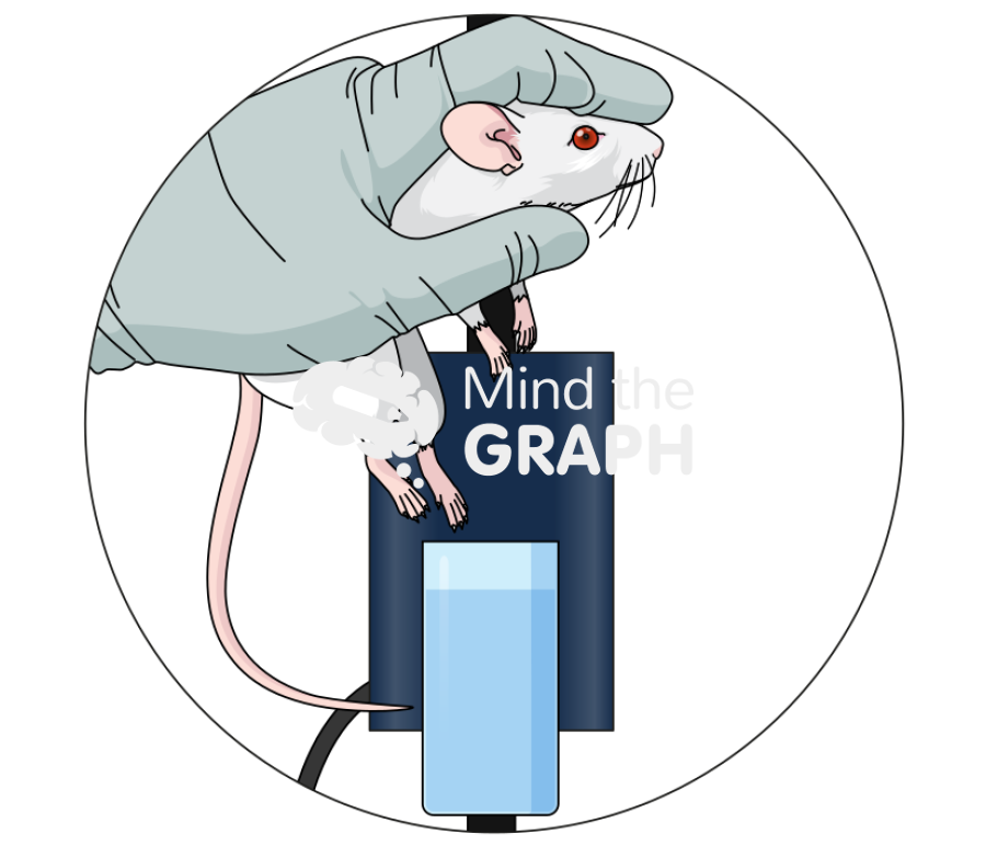 Paw edema test mice Icons, Symbols, Pictures, and Images