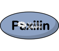 Paxilin cell adhesion complex Icons, Symbols, Pictures, and Images