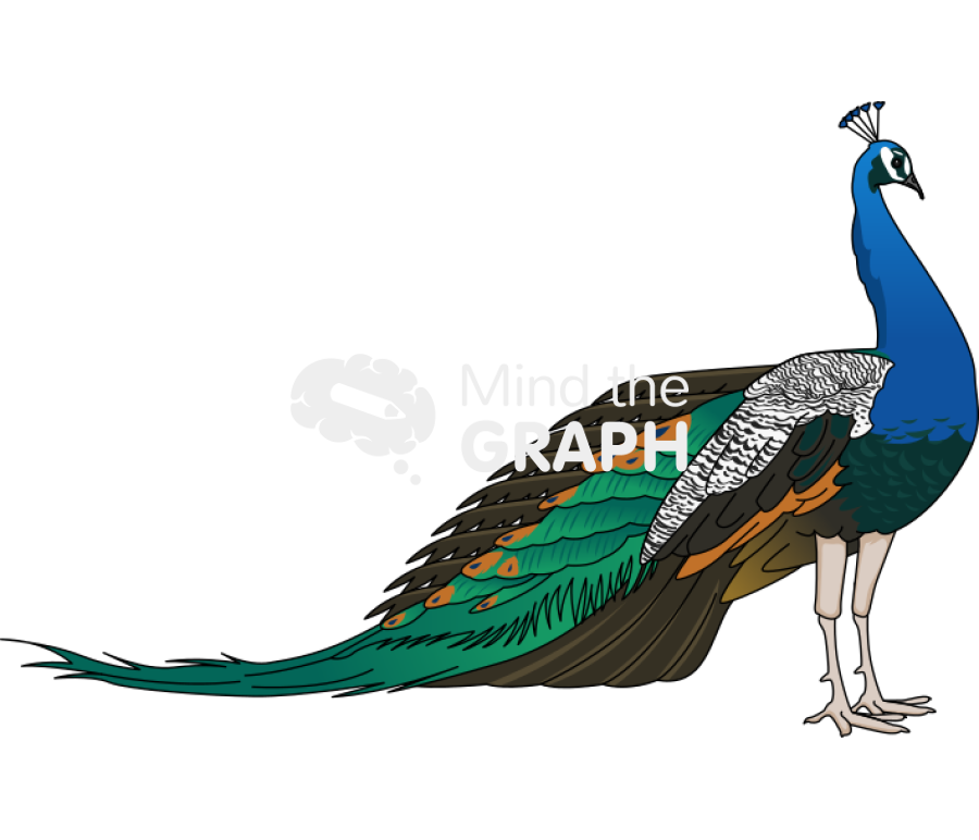 Peacock lateral Icons, Symbols, Pictures, and Images