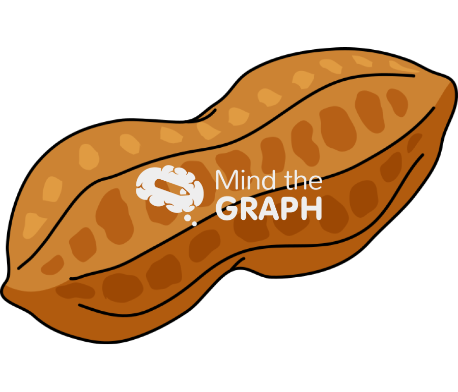 Peanuts seed shell Icons, Symbols, Pictures, and Images