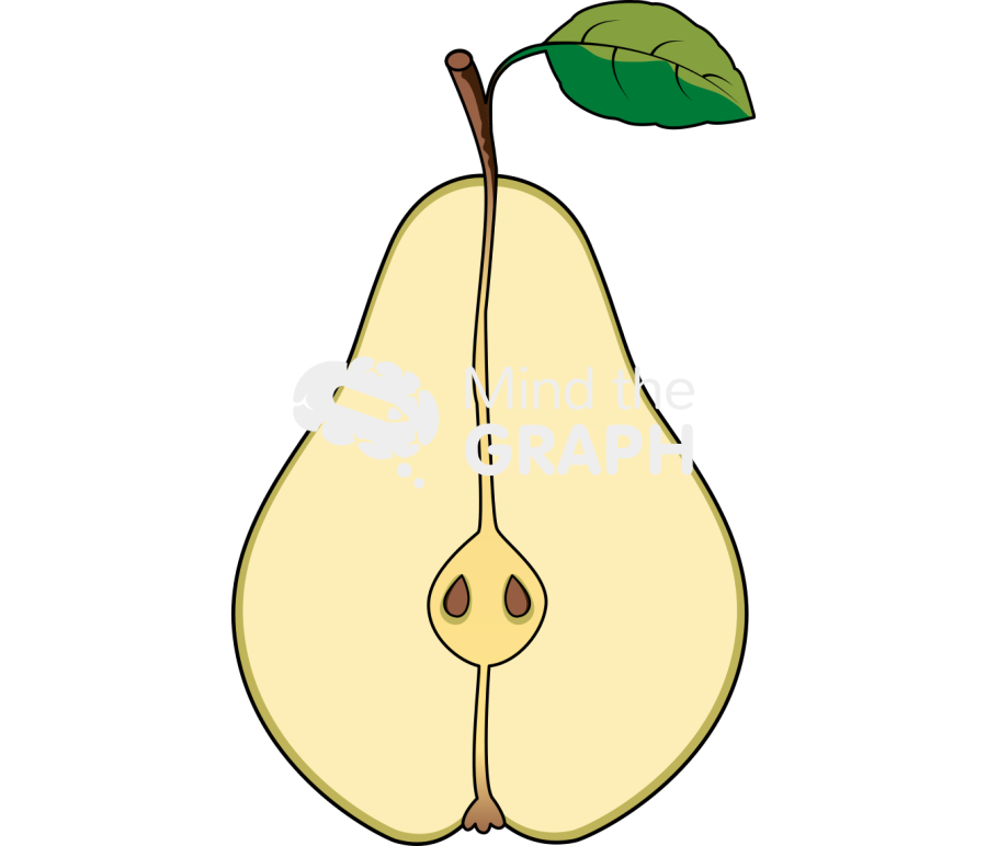 Pear open Icons, Symbols, Pictures, and Images