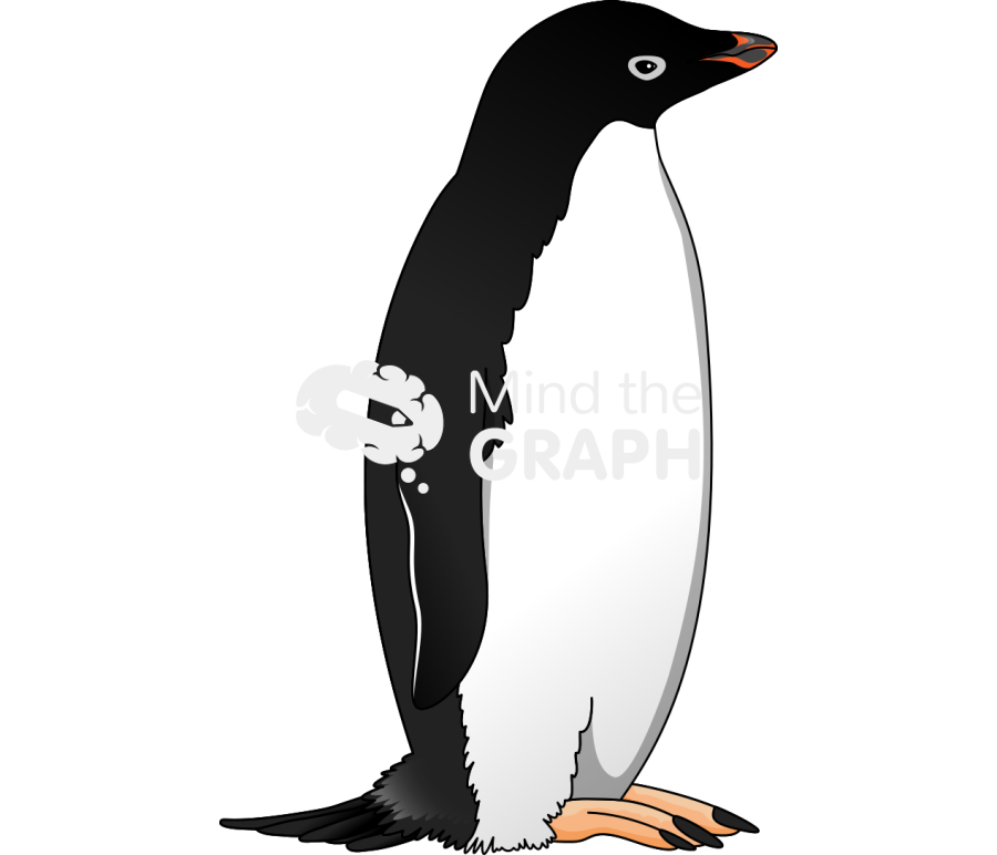 Penguin pygoscelis adeliae Icons, Symbols, Pictures, and Images