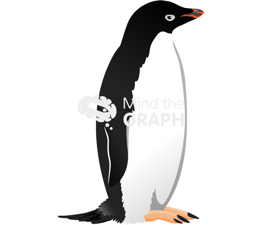 Penguin pygoscelis adeliae Icons, Symbols, Pictures, and Images