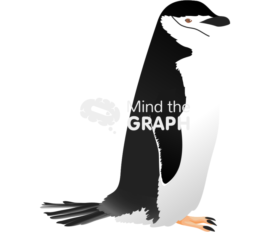 Penguin pygoscelis antarcticus Icons, Symbols, Pictures, and Images