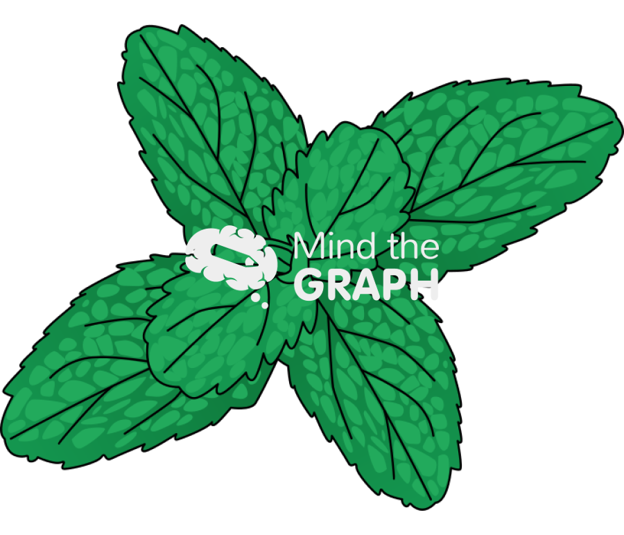Peppermint mentha piperita Icons, Symbols, Pictures, and Images