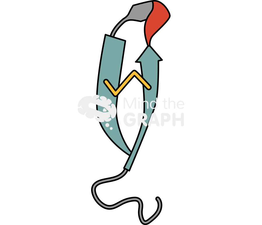 Peptide chain amino acid 4 Icons, Symbols, Pictures, and Images