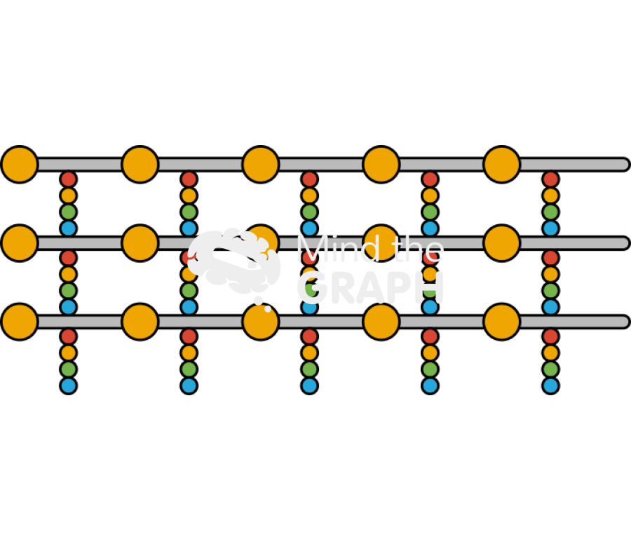 Peptidoglycan layers Icons, Symbols, Pictures, and Images