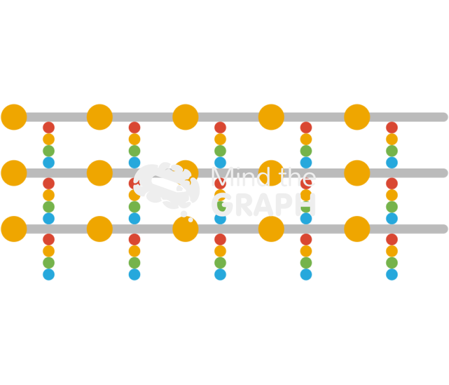 Peptidoglycan layers Icons, Symbols, Pictures, and Images