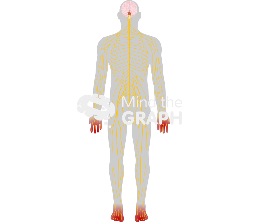 Peripherical neuropathy human shape Icons, Symbols, Pictures, and Images