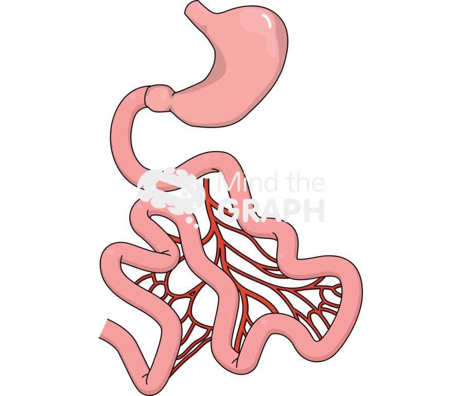 Peritoneal carcinomatosis index Icons, Symbols, Pictures, and Images