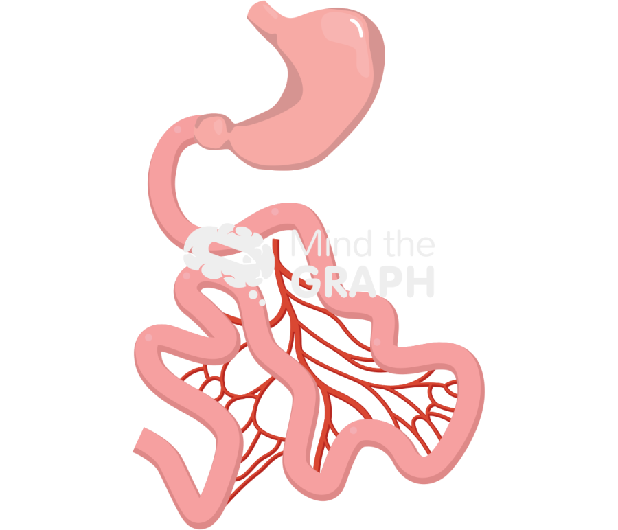 Peritoneal carcinomatosis index Icons, Symbols, Pictures, and Images