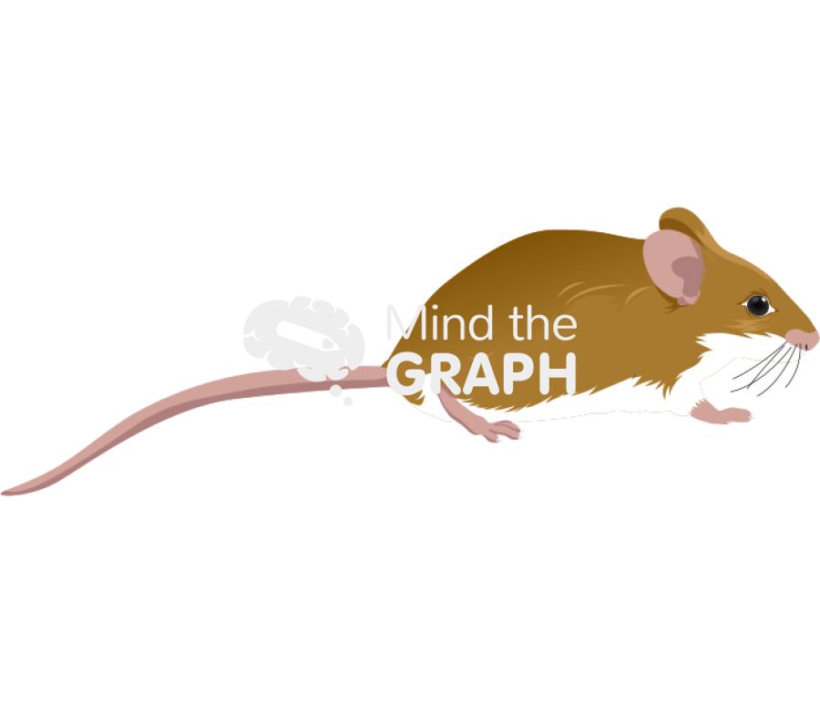 Peromyscous leocopus lateral Icons, Symbols, Pictures, and Images