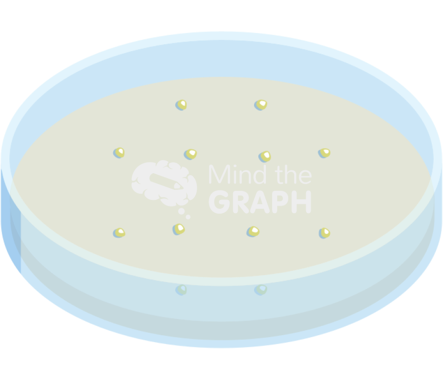 Petri dish callus clumps 1 Icons, Symbols, Pictures, and Images