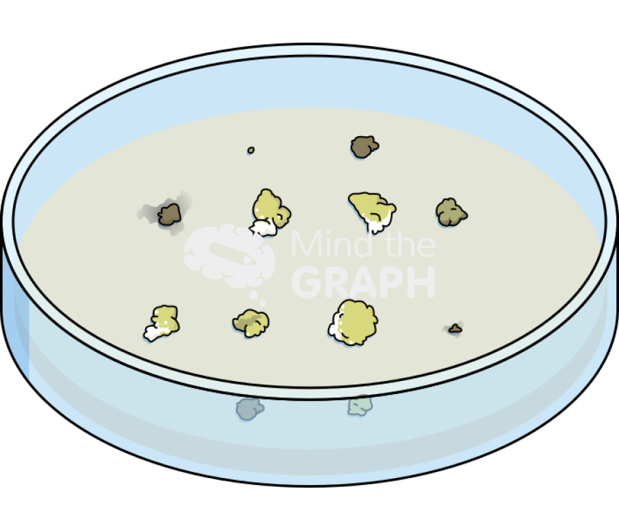 Petri dish callus clumps 2 Icons, Symbols, Pictures, and Images