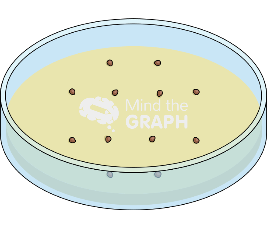 Petri dish colony forming units Icons, Symbols, Pictures, and Images