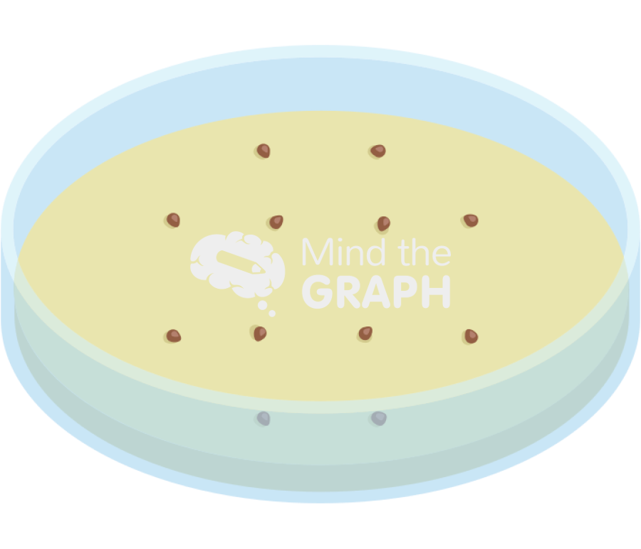 Petri dish colony forming units Icons, Symbols, Pictures, and Images