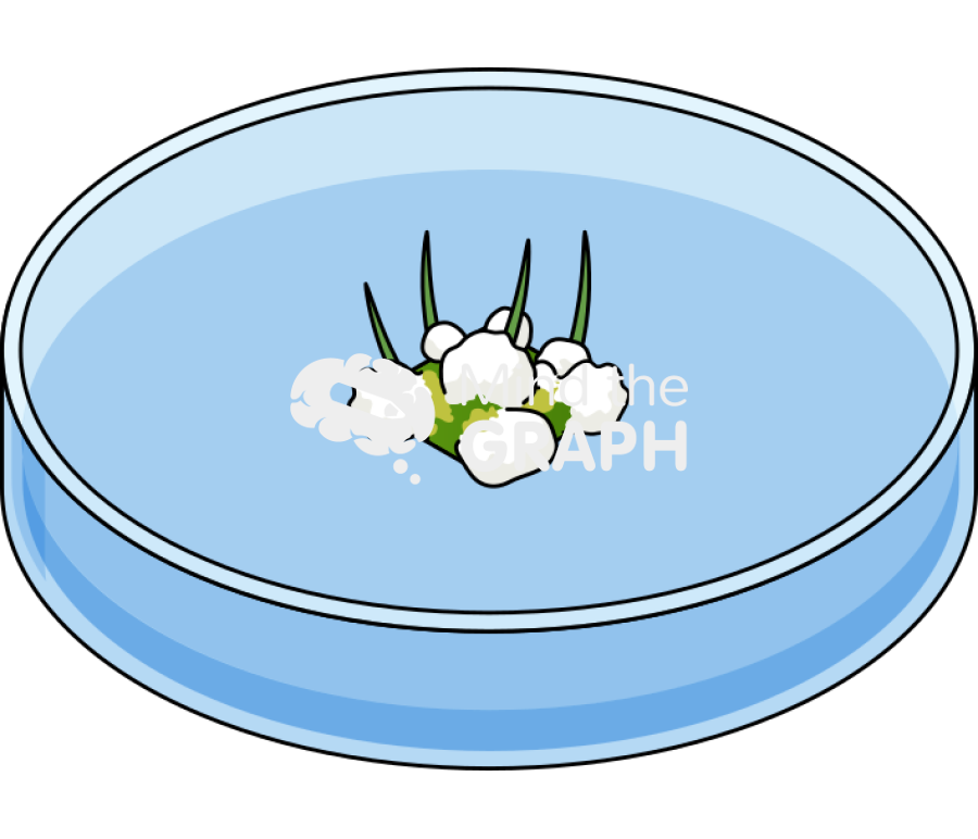 Petri dish leaf shoot form Icons, Symbols, Pictures, and Images