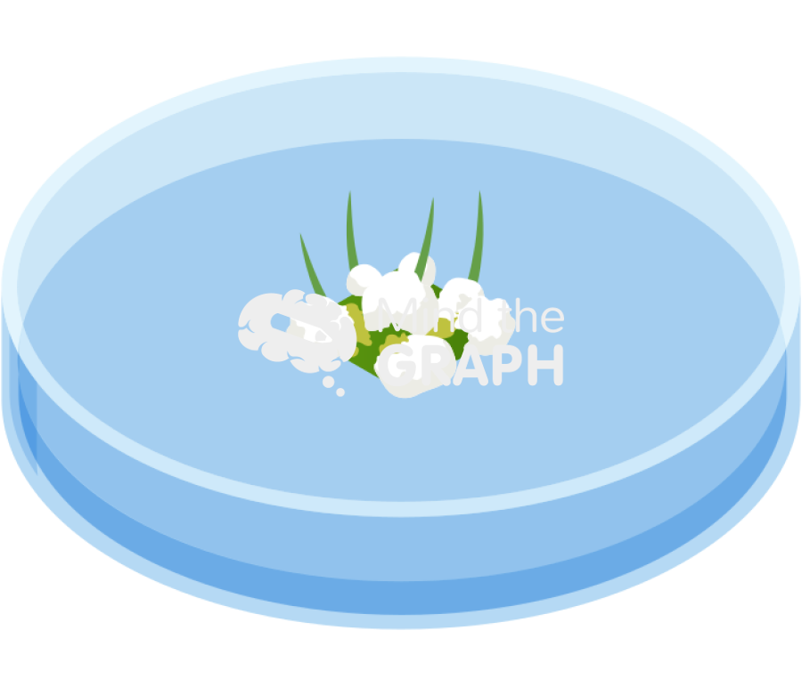 Petri dish leaf shoot form Icons, Symbols, Pictures, and Images