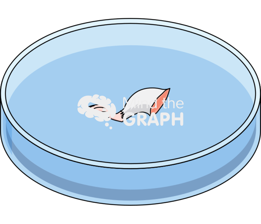 Petri dish mouse leg Icons, Symbols, Pictures, and Images
