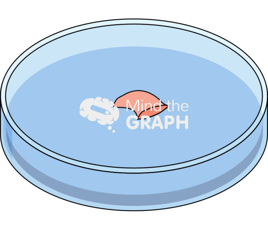 Petri dish mouse one leg Icons, Symbols, Pictures, and Images