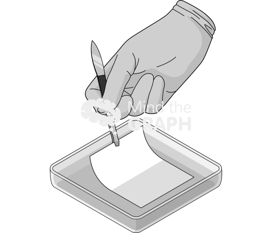 Petri dish square hand blotting membrane Icons, Symbols, Pictures, and Images