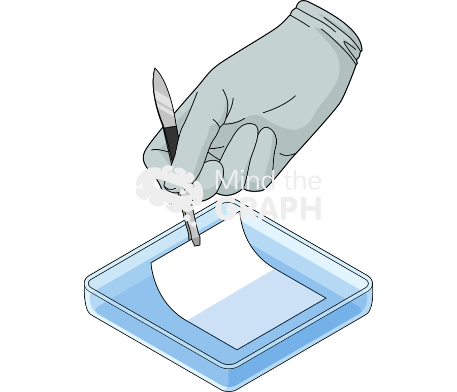 Petri dish square hand blotting membrane Icons, Symbols, Pictures, and Images