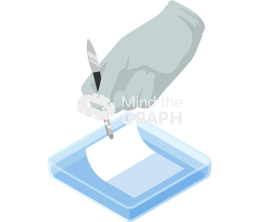 Petri dish square hand blotting membrane Icons, Symbols, Pictures, and Images