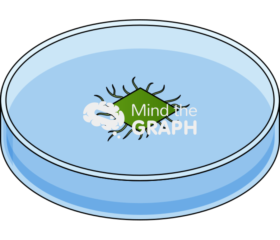 Petri dish square leaf root Icons, Symbols, Pictures, and Images