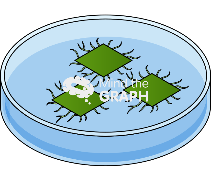 Petri dish square leaf root compound Icons, Symbols, Pictures, and Images