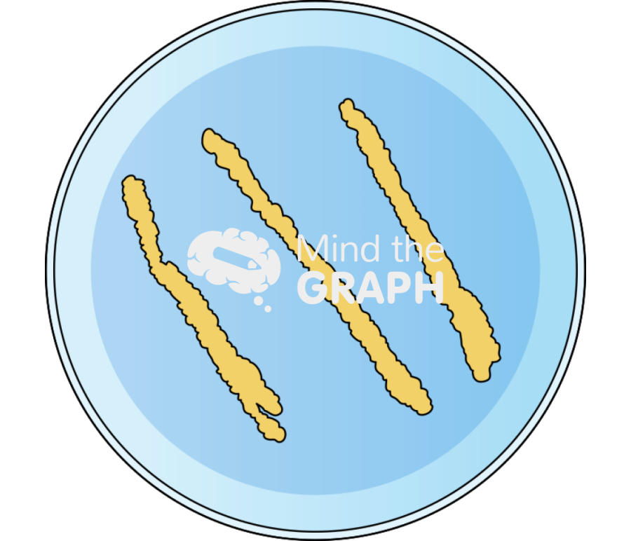 Petri dish xanthomonas front Icons, Symbols, Pictures, and Images