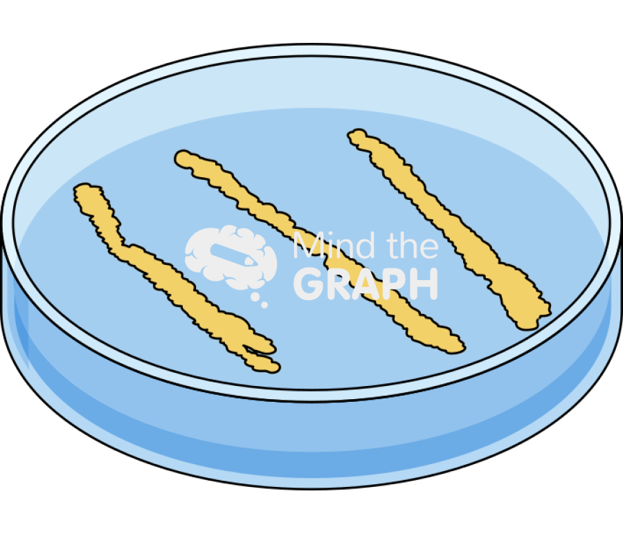 Petri dish xanthomonas perspective Icons, Symbols, Pictures, and Images