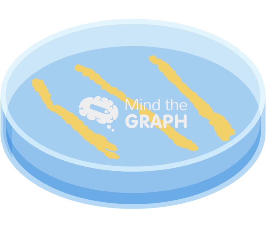 Petri dish xanthomonas perspective Icons, Symbols, Pictures, and Images