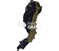 Phlebotominae pupae - Edit and Customize Icons of Phlebotominae pupae Phlebotominae pupae Icons, Symbols, Pictures, and Images