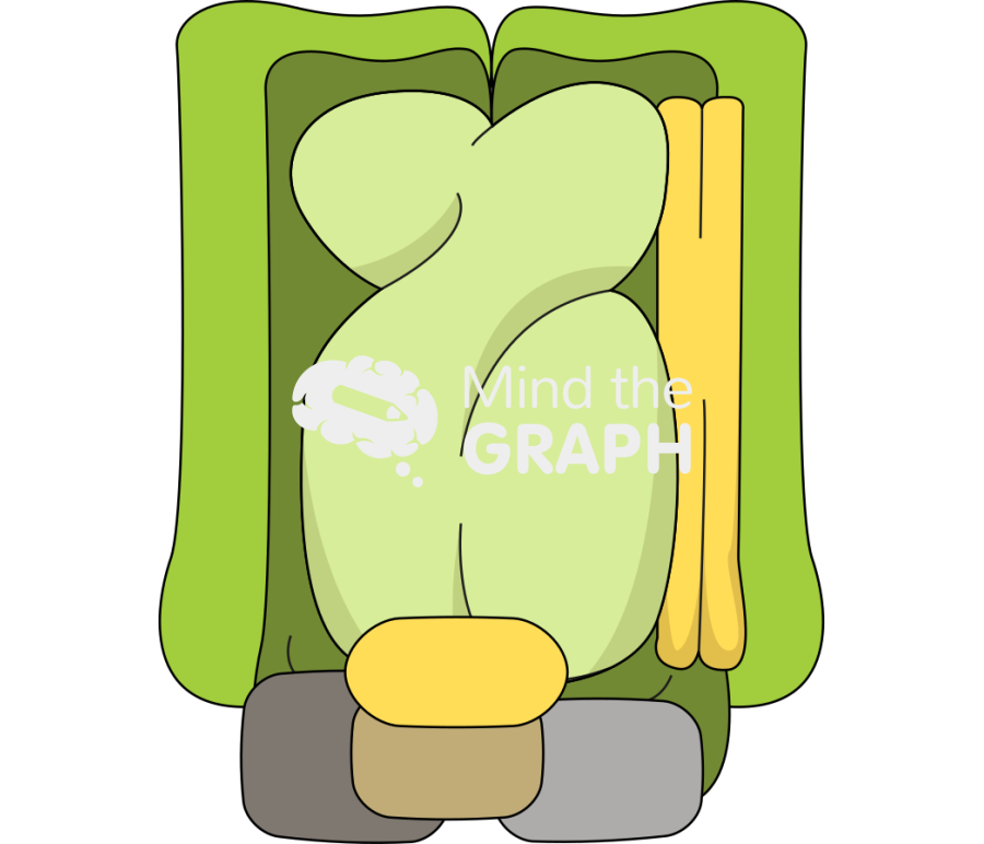Photosystem 2 complex Icons, Symbols, Pictures, and Images