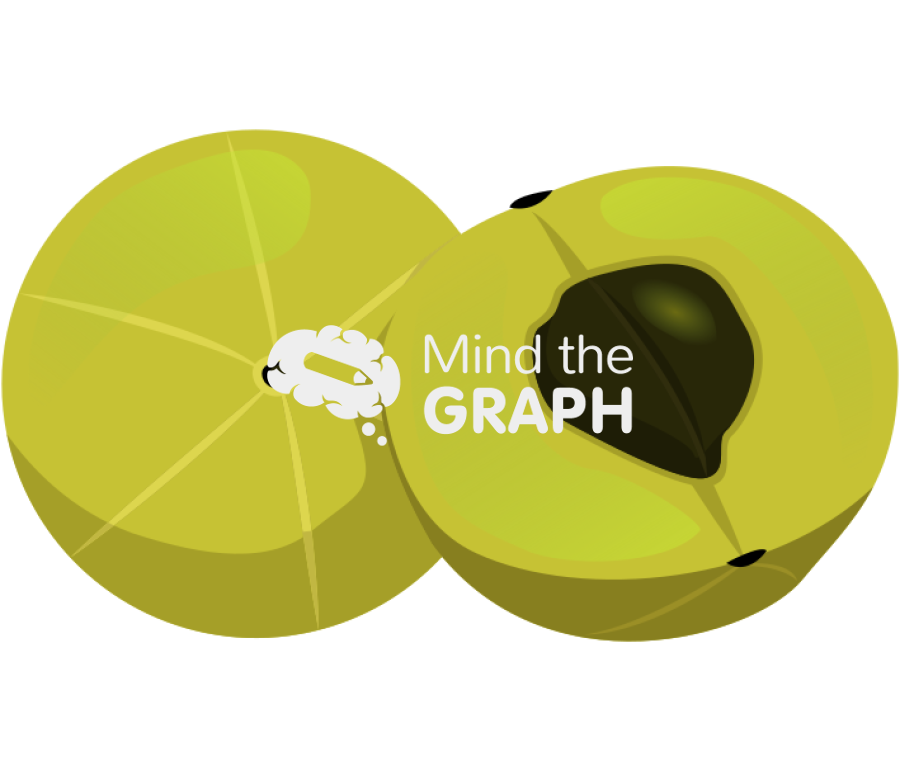 Phyllanthus emblica Icons, Symbols, Pictures, and Images