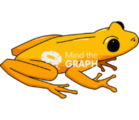 Phyllobates terribilis - Edit and Customize Icons of Phyllobates terribilis Phyllobates terribilis Icons, Symbols, Pictures, and Images