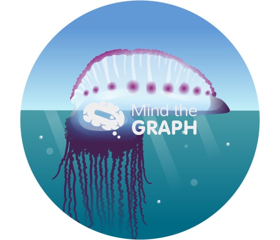 Physalia physalis sea zoom Icons, Symbols, Pictures, and Images