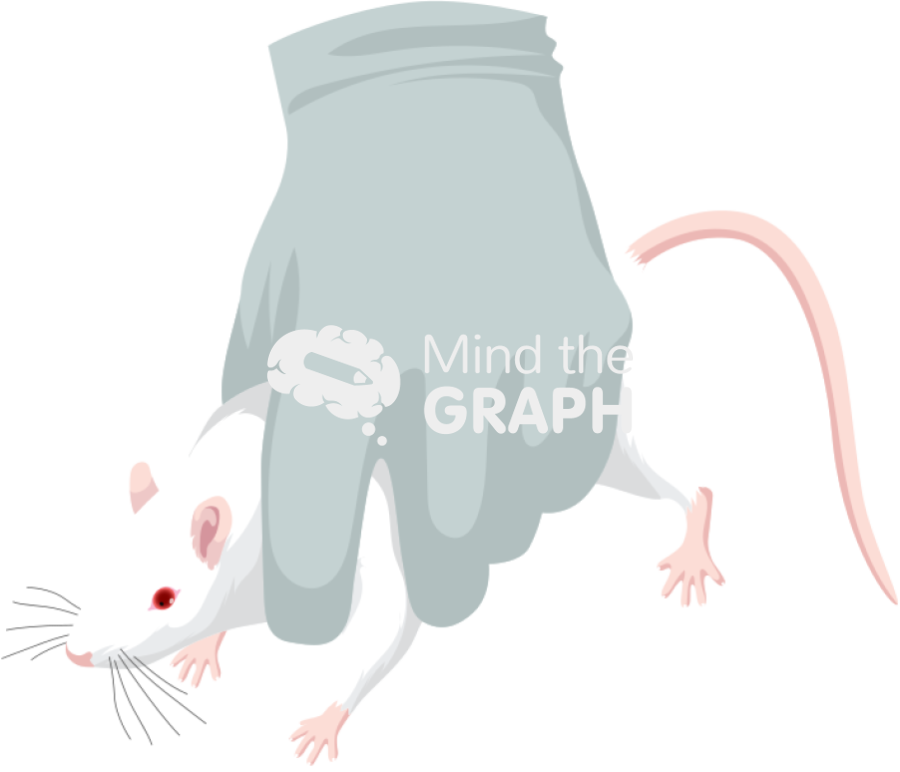 Rodent handling restraint